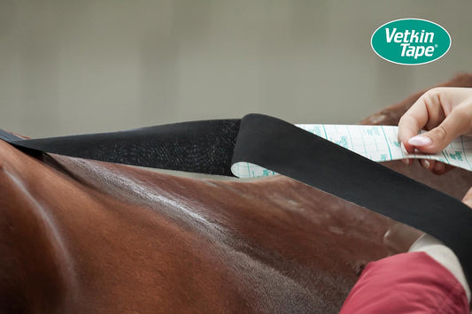 VetkinTape® Pre-Tape Adhesive Spray