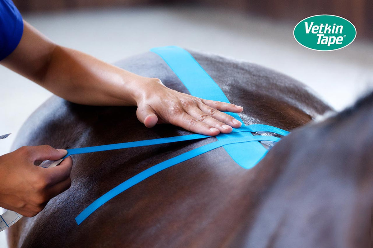 VetkinTape® Kinesiology 10cm