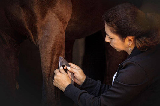 FASCIQ® IASTM Tool Animal Care- Kiss