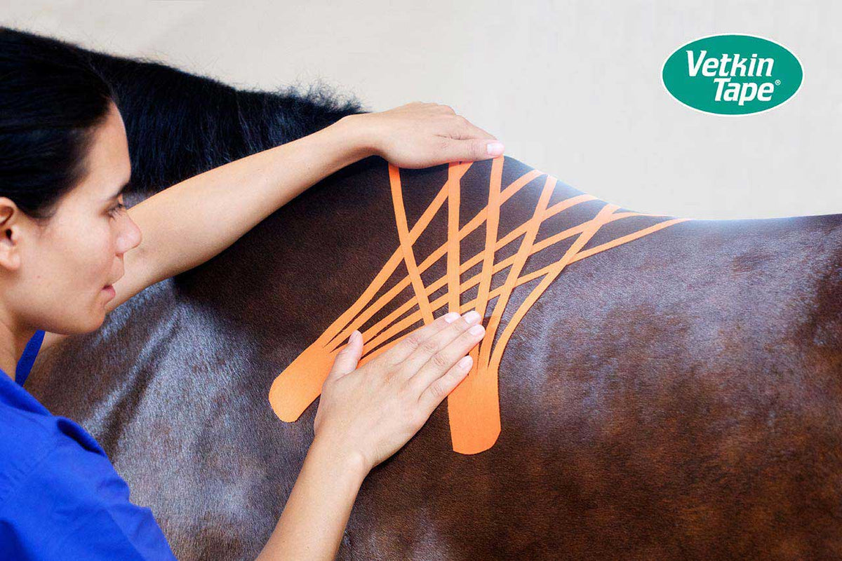 VetkinTape® Kinesiology 10cm