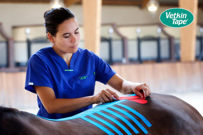 VetkinTape® Kinesiology 10cm