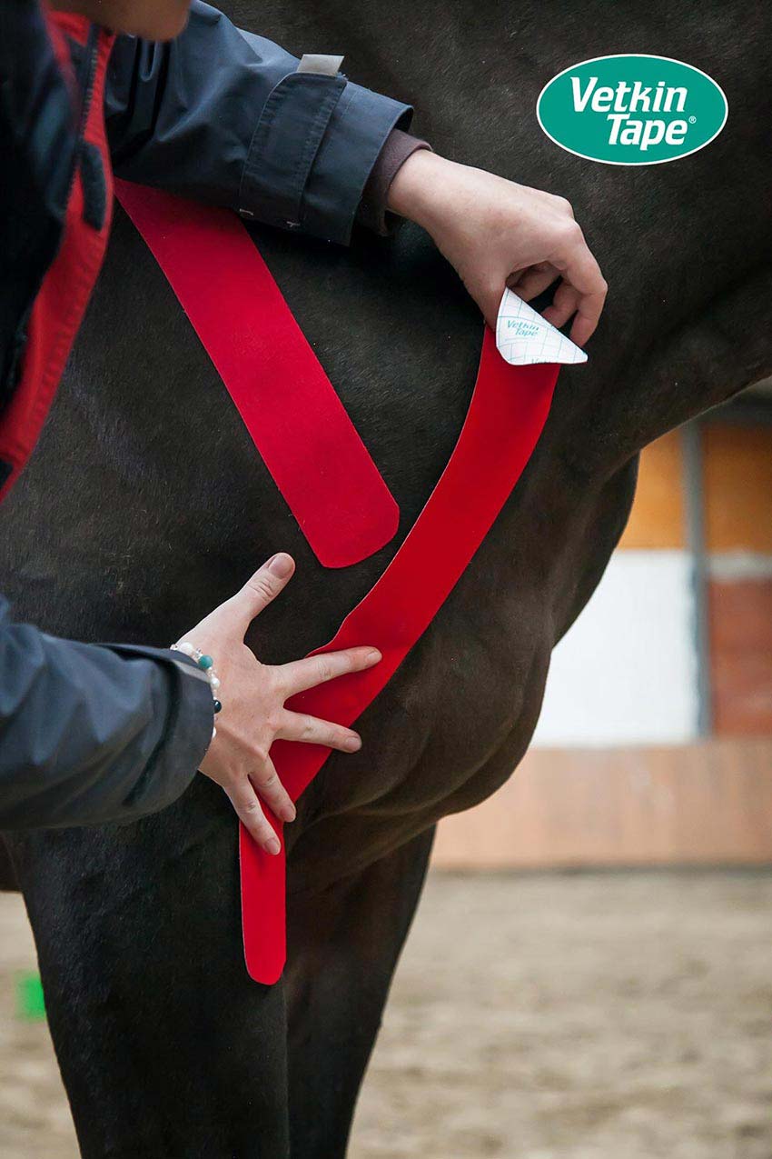 VetkinTape® Kinesiology 10cm