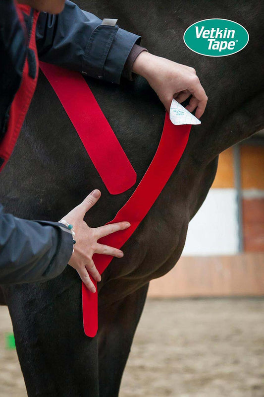 VetkinTape® Veterinary Pre-Tape Spray