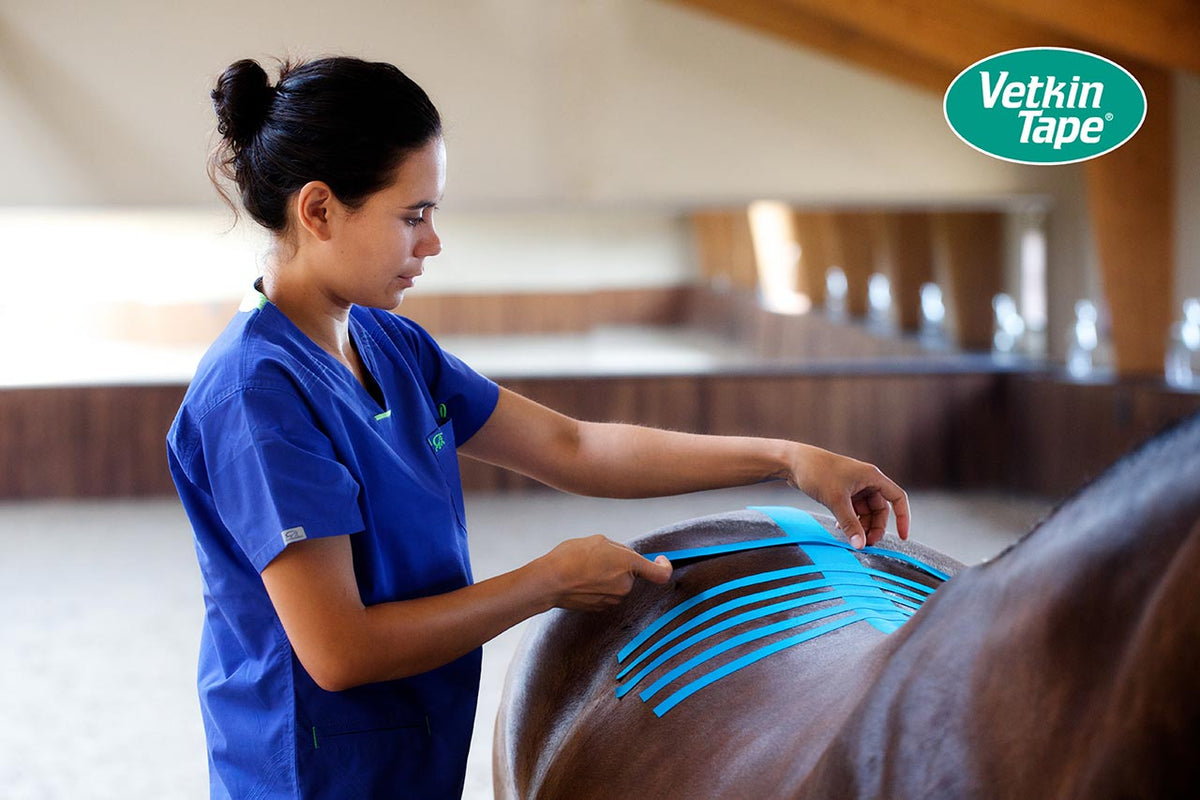 VetkinTape® Veterinary Pre-Tape Spray