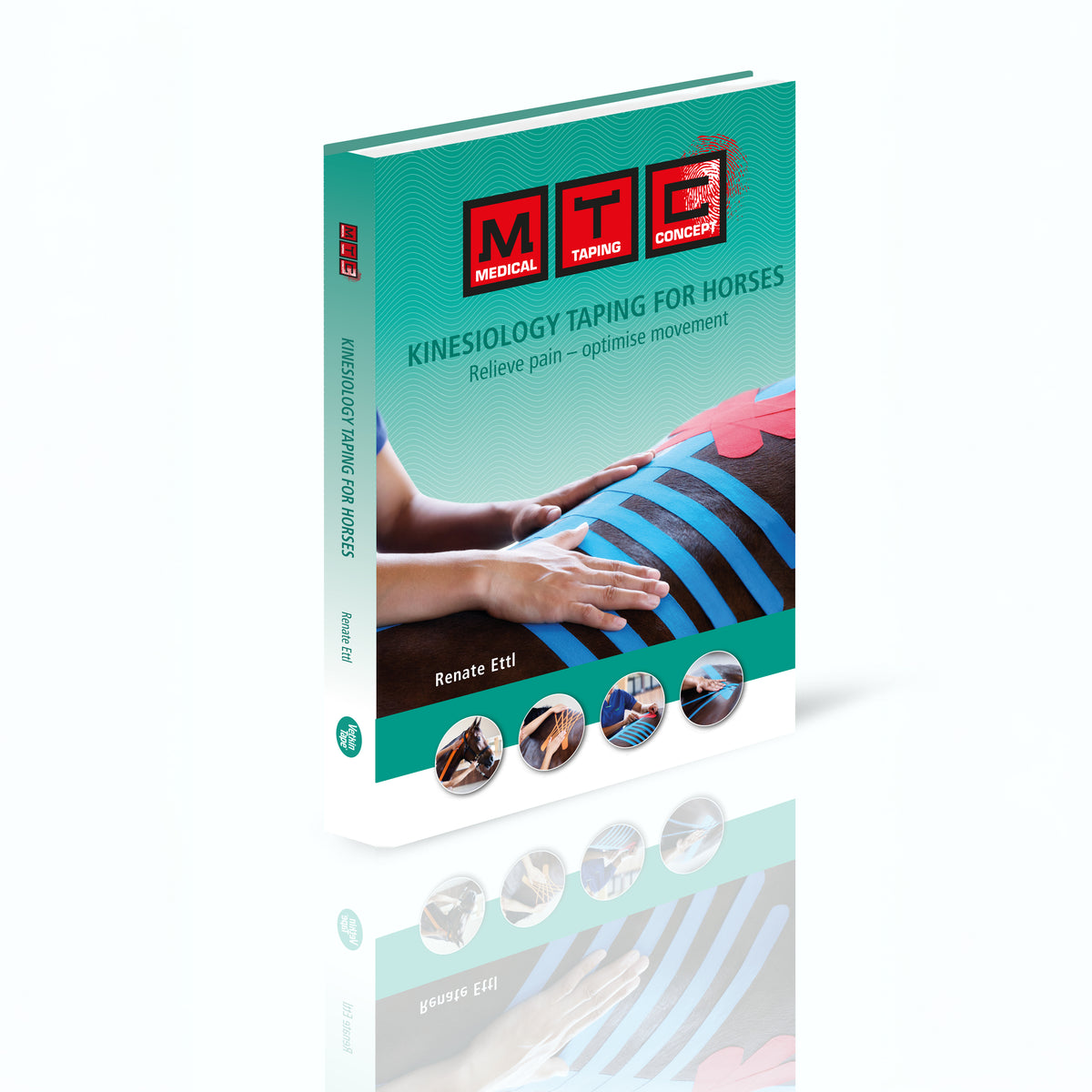 Kinesiology Taping for Horses